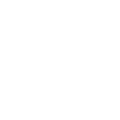 the power of word press